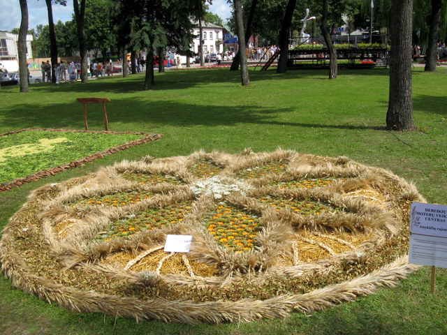 Debeikių moterų veiklos centro kūrinys ant vandens - konkurso II vieta