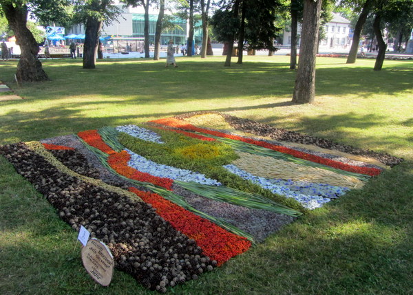 Trečioji vieta buvo skirta pirmąkart konkurse dalyvavusiai Biržų miesto bendruomenės komandai ir jos kilimui.
