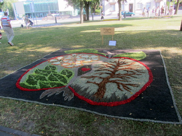 Konkurso senbuvė Piktagalio kaimo bendruomenė supynė „rojaus kerų“ kilimą.