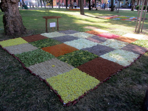 Kurklių miestelio bendruomenės kilimo gamtos turtų kvadratai.