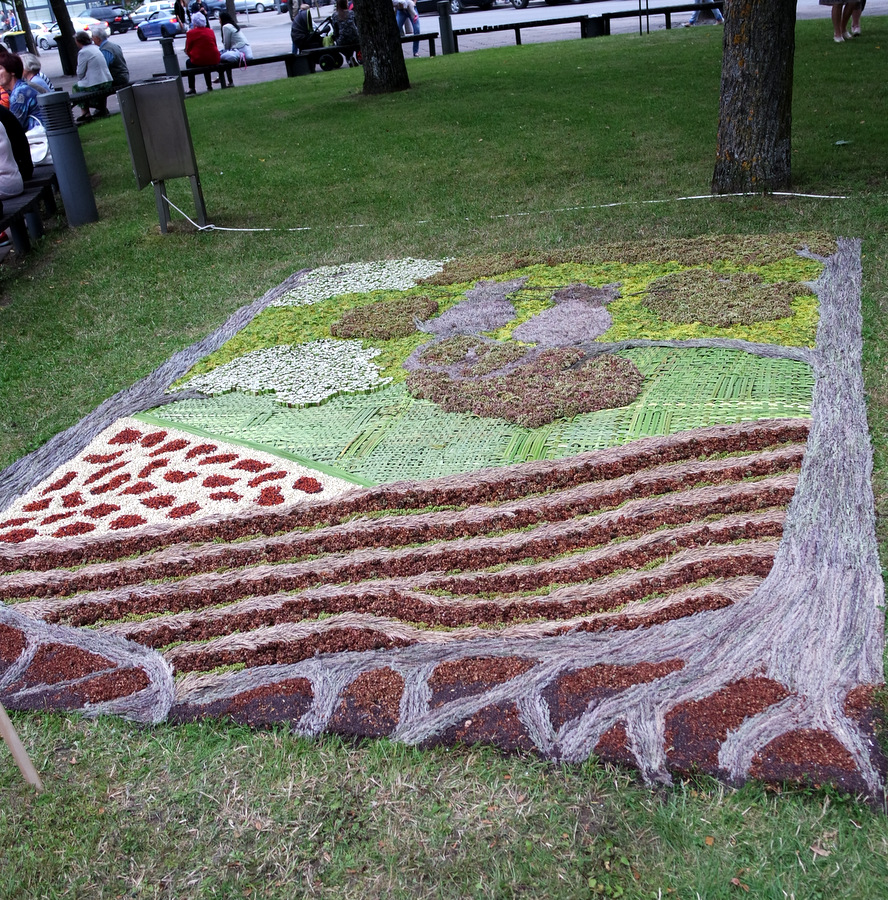 Naujųjų Elmininkų kaimo bendruomenės kilimas „Dviese“.