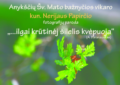 Parodos afišoje - vienas iš kun. Nerijaus kadrų.