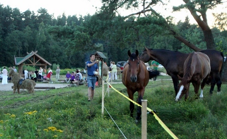 Naktigonė prie Šventosios.
