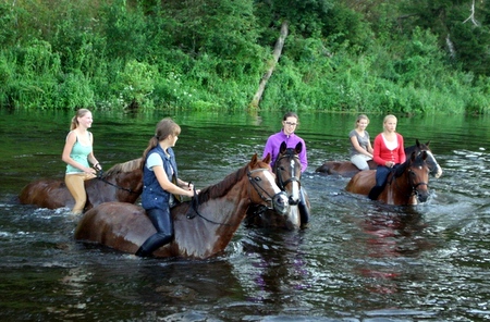 Žirgų maudynės Šventojoje.